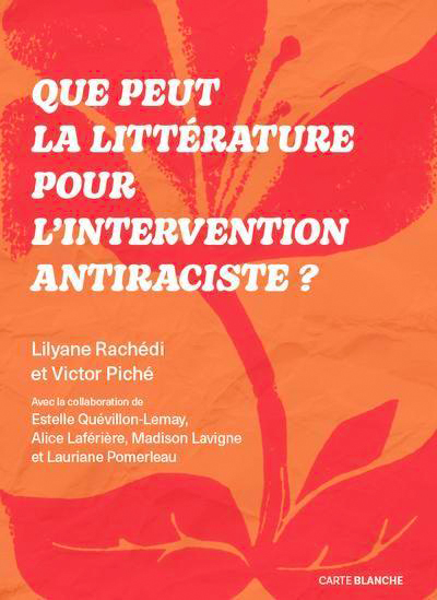 Que peut la littérature pour l&rsquo;intervention antiraciste?